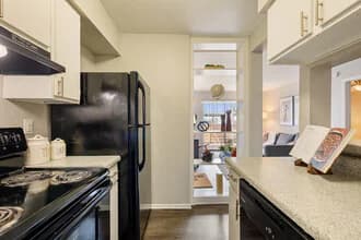 Urban Palms Apartment Homes — photo 5