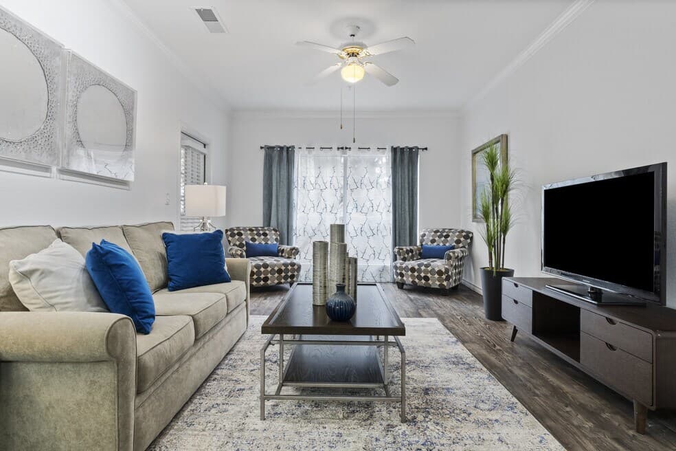 Vineyard Springs — photo 2